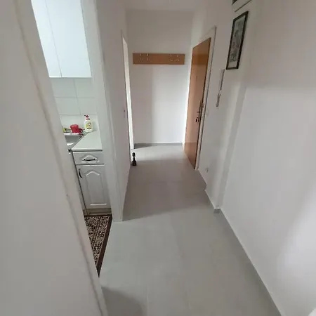 Paun Apartment Podgorica
